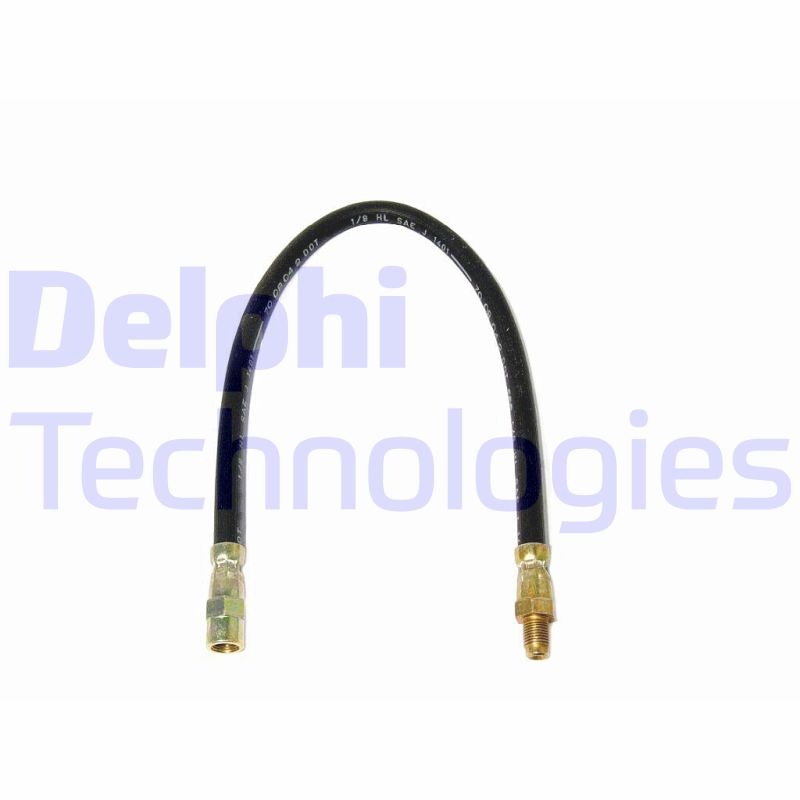 Delphi Diesel Remslang LH1344