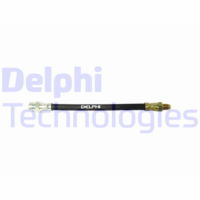 Delphi Diesel Remslang LH2262