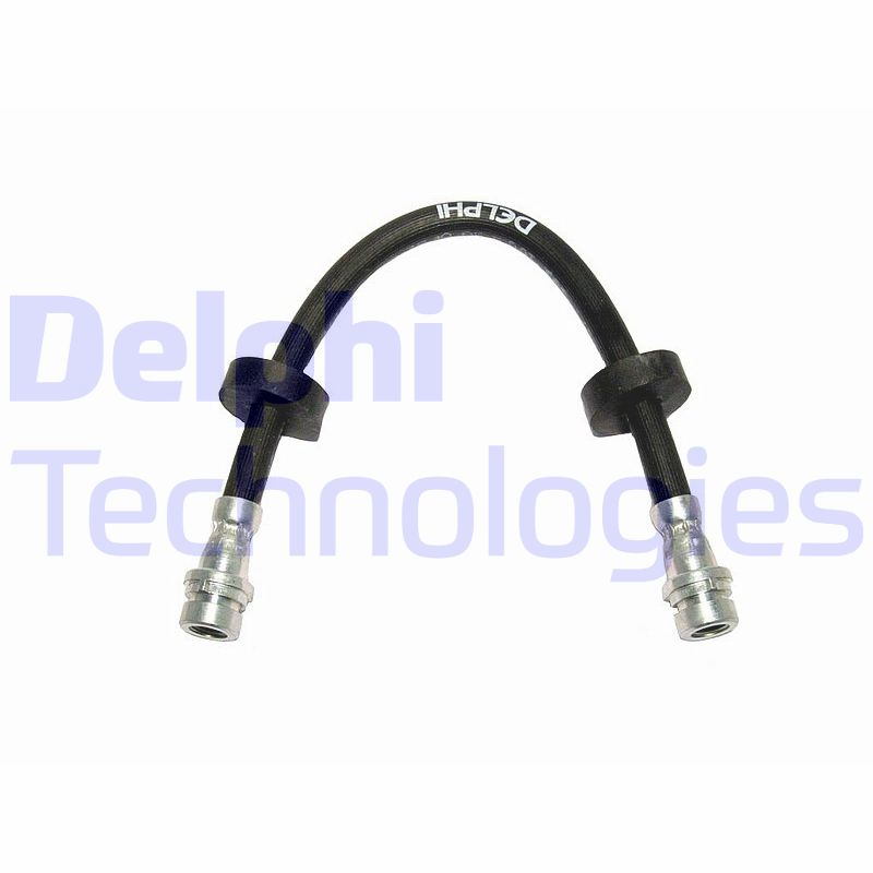 Delphi Diesel Remslang LH3781