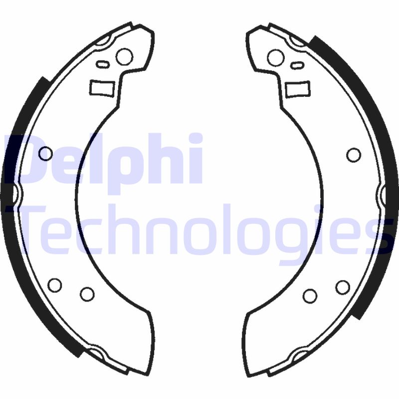 Delphi Diesel Remschoen set LS1216