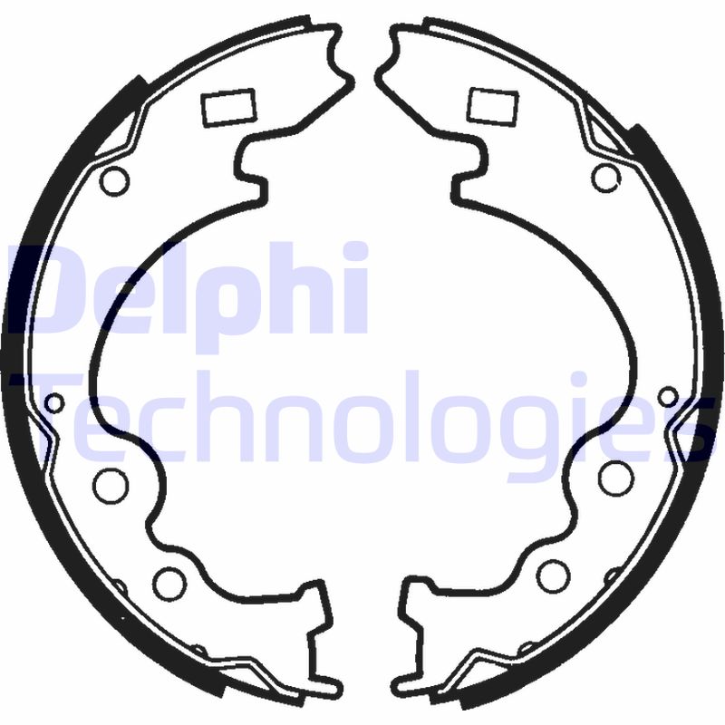 Delphi Diesel Remschoen set LS1354