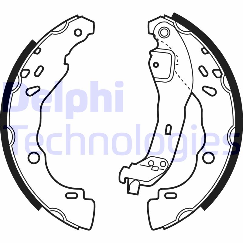 Delphi Diesel Remschoen set LS1968