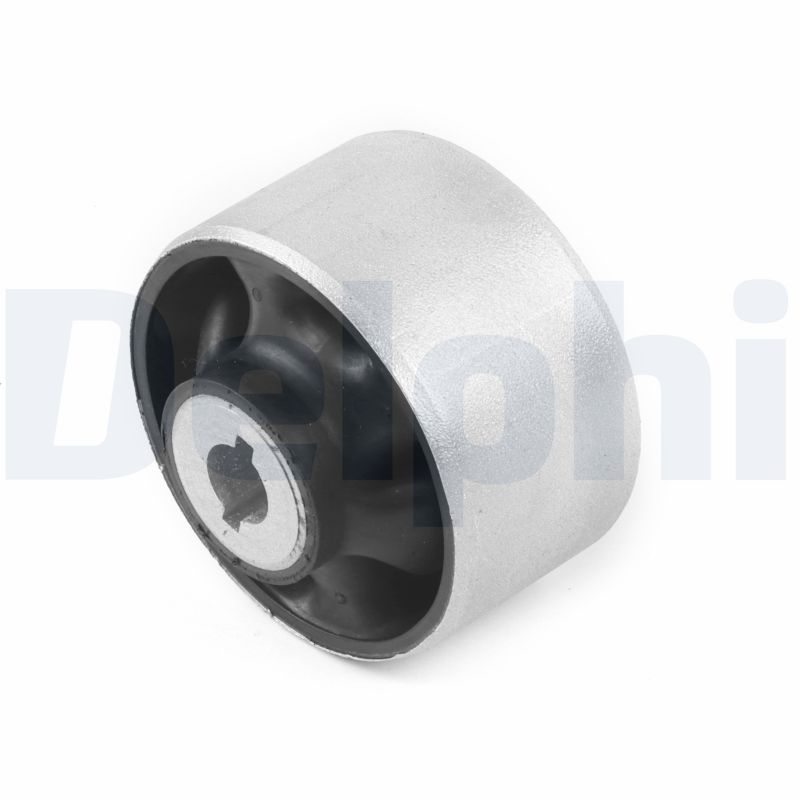 Delphi Diesel Draagarmrubber TD2100W