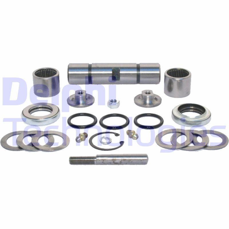 Delphi Diesel Fuseepen TD216W