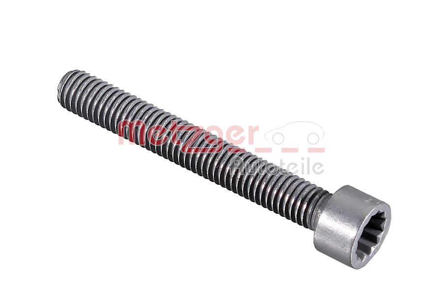 Metzger Schroef, inspuitstukhouder 0873058