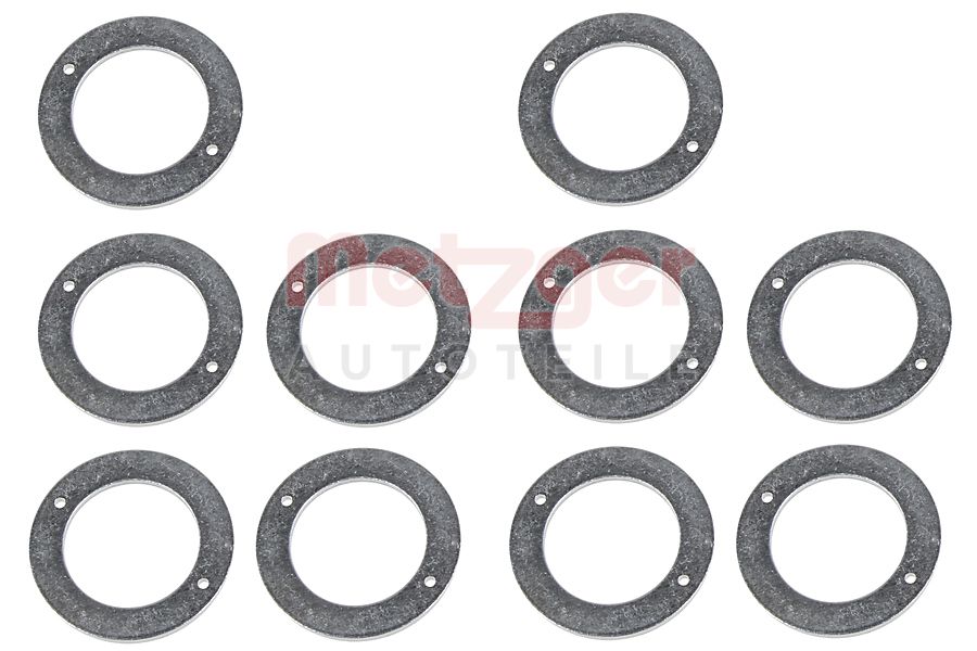 Metzger Brandplaatjes, injectiesysteem 0873078