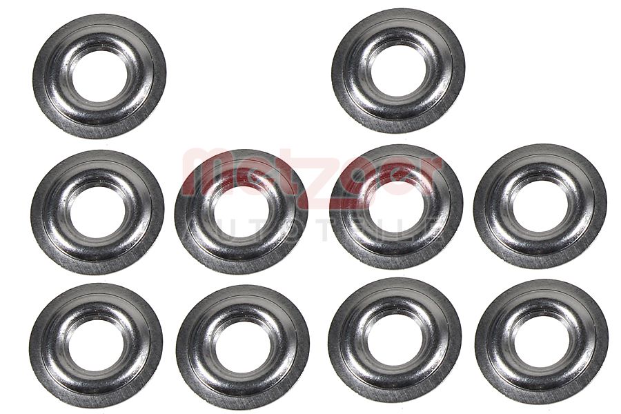 Metzger Brandplaatjes, injectiesysteem 0873083