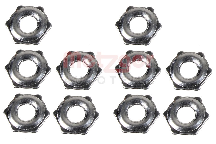 Metzger Brandplaatjes, injectiesysteem 0873086