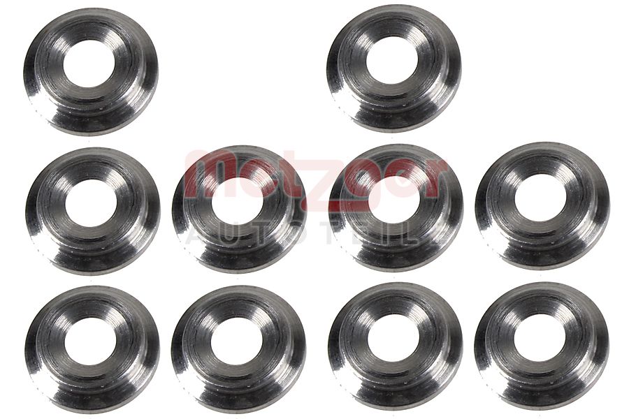 Metzger Brandplaatjes, injectiesysteem 0873091