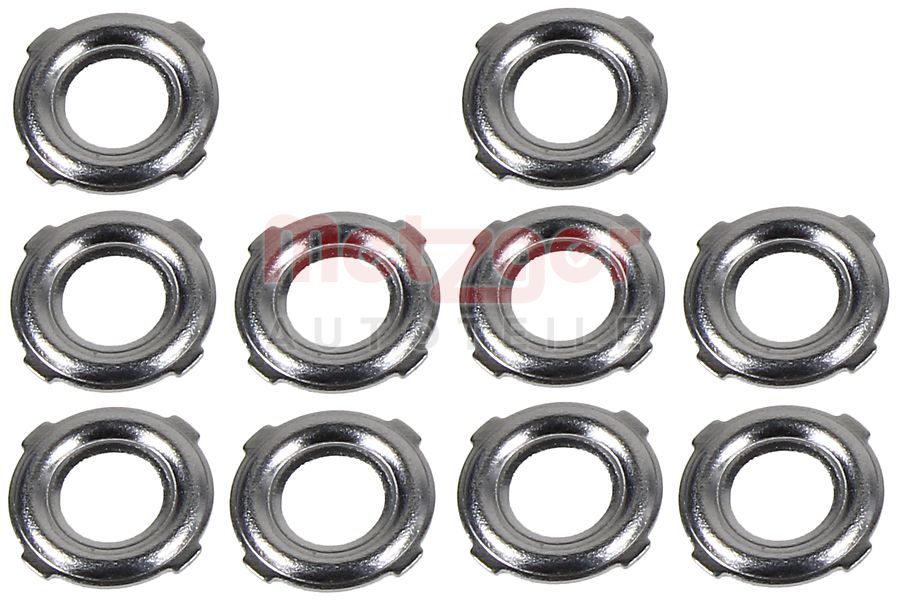 Metzger Brandplaatjes, injectiesysteem 0873092