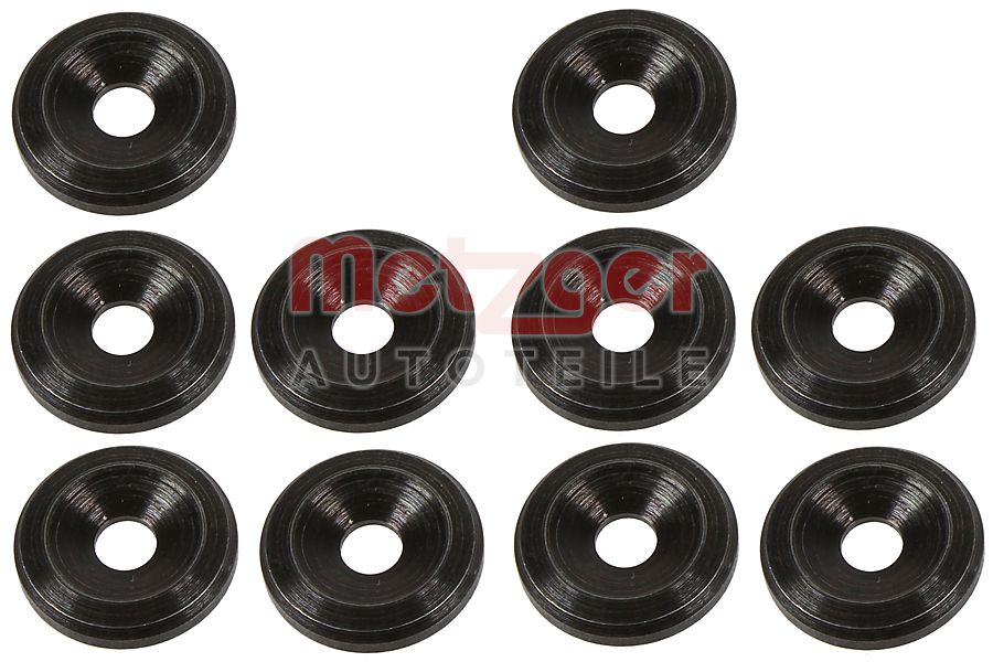 Metzger Brandplaatjes, injectiesysteem 0873095