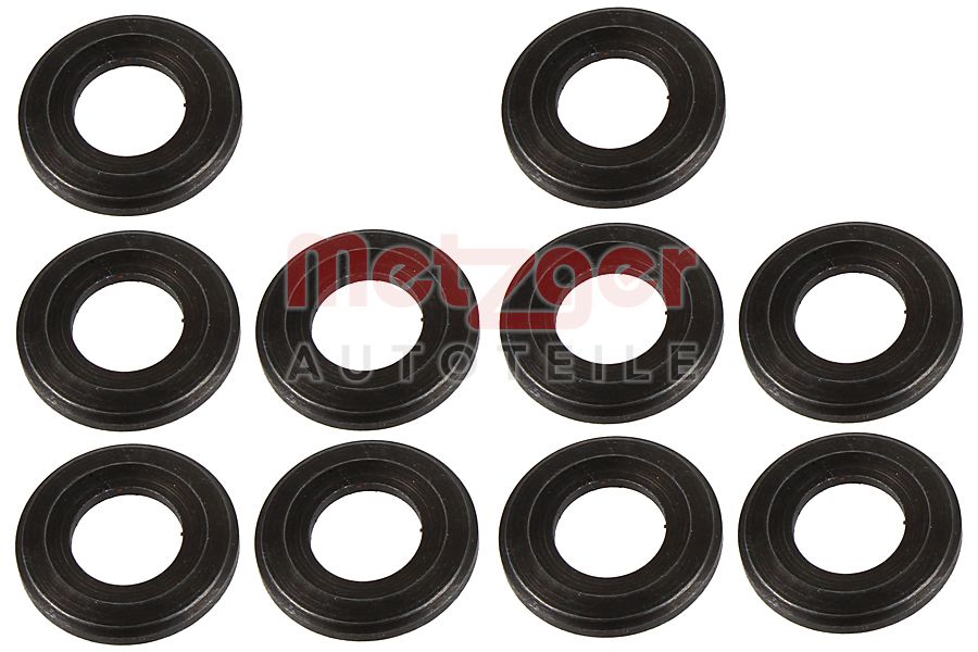 Metzger Brandplaatjes, injectiesysteem 0873096