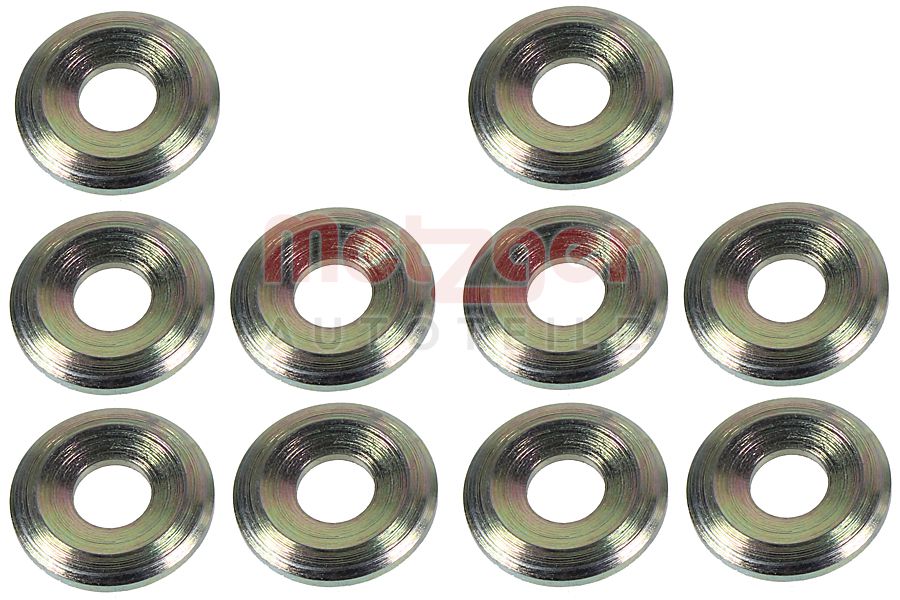 Metzger Brandplaatjes, injectiesysteem 0873098