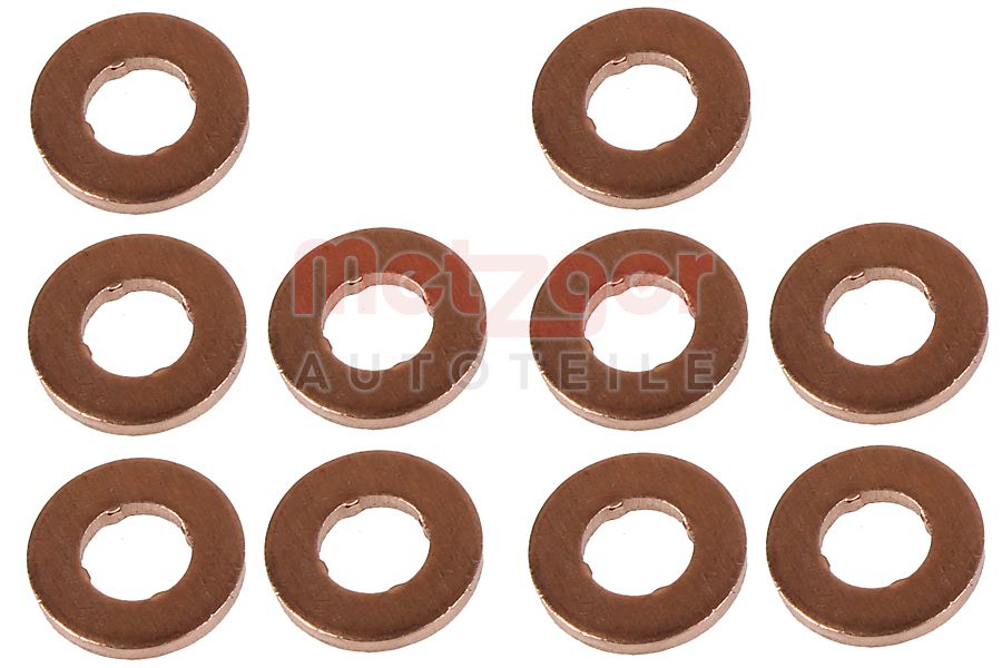 Metzger Brandplaatjes, injectiesysteem 0873101