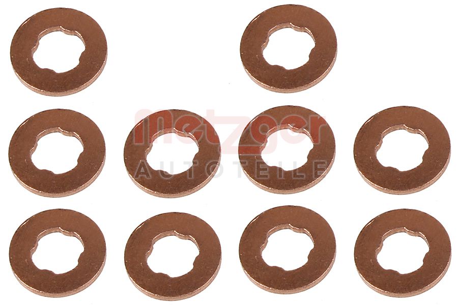 Metzger Brandplaatjes, injectiesysteem 0873104