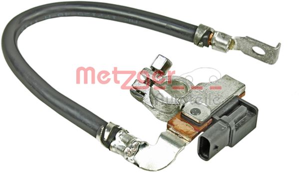 Metzger Accumanagement sensor 0901263