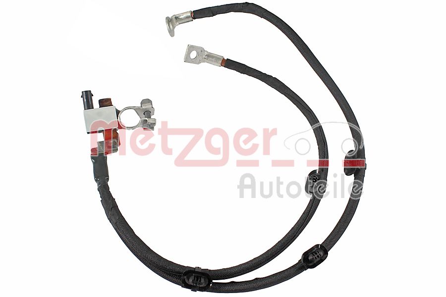 Metzger Sensor, accumanagement 0901559