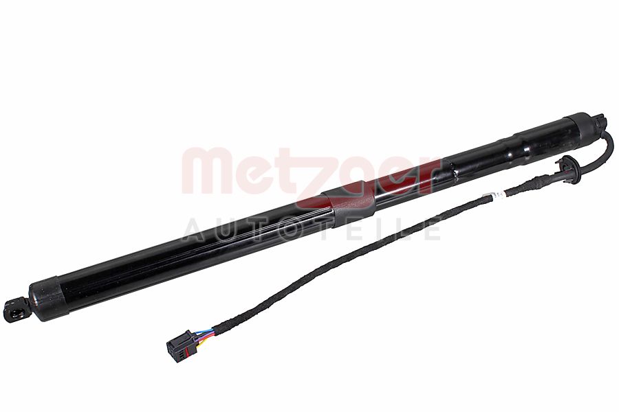 Metzger Elektromotor, achterklep 2115053