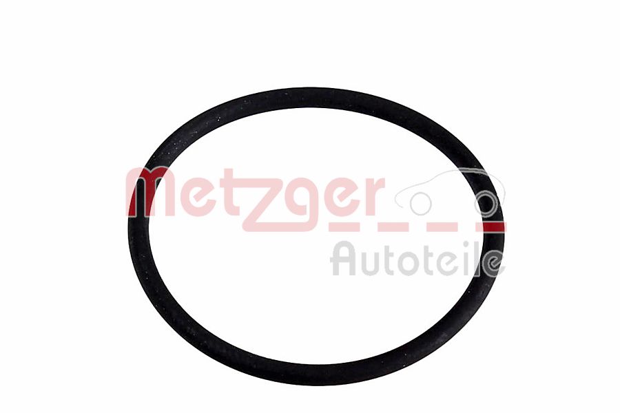 Metzger Pakking, brandstofpomp 2250623