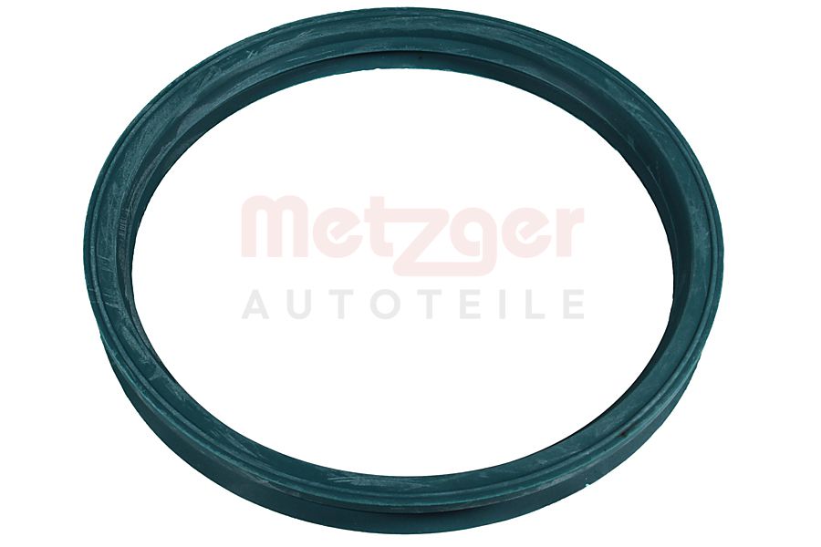 Metzger Pakking, brandstofpomp 2250701