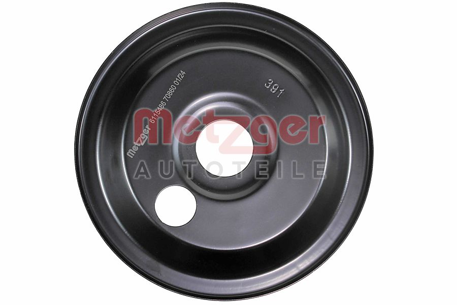 Metzger Plaat 6115486