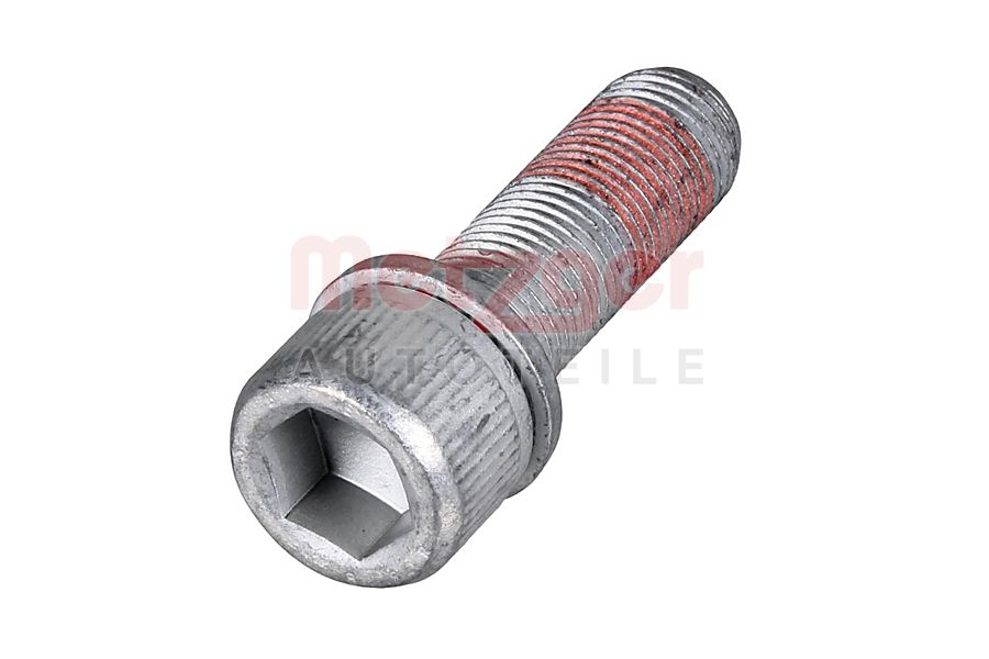 Metzger Schroef, remzadel 6269003