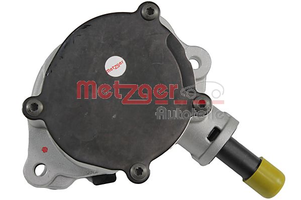 Metzger Vacuumpomp 8010162