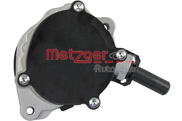 Metzger Vacuumpomp 8010170