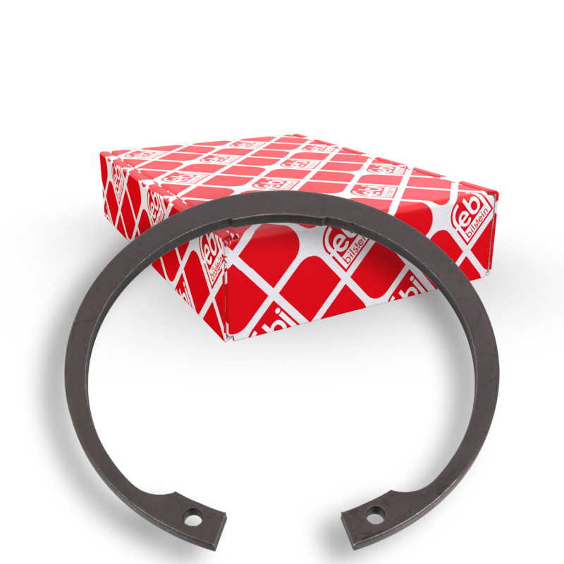 Febi Bilstein Borgring 106971