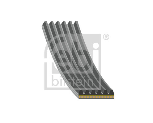Febi Bilstein Poly V-riem 192881