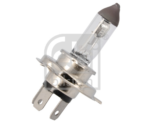 Febi Bilstein Gloeilamp 193786