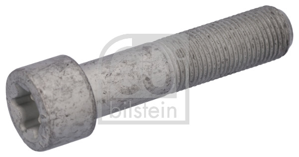 Febi Bilstein Schroef, remschijf 194272