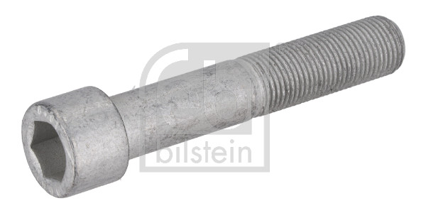 Febi Bilstein Schroef, remschijf 195479