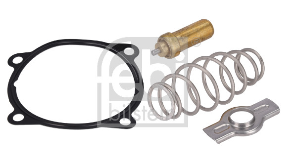 Febi Bilstein Thermostaat, koelvloeistof 196062