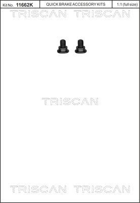 Triscan Remschijfschroef 8105 116003