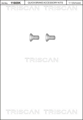 Triscan Remschijfschroef 8105 116010