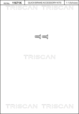 Triscan Remschijfschroef 8105 116012