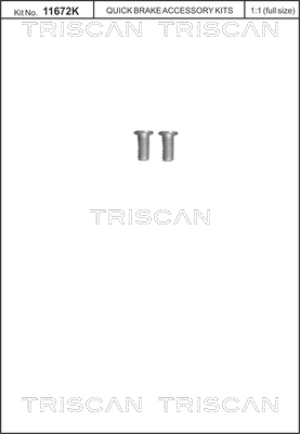 Triscan Remschijfschroef 8105 116013