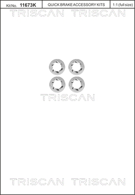 Triscan Remschijfschroef 8105 116014