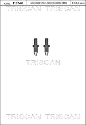 Triscan Remschijfschroef 8105 116015