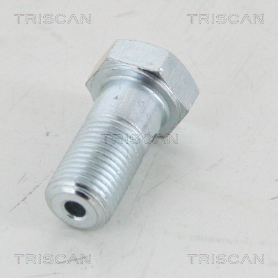 Triscan Holle bout 8105 3251