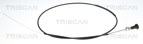 Triscan Carburateur 8140 91002