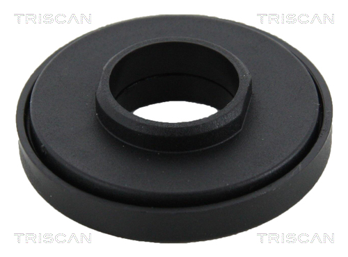 Triscan Veerpootlager & rubber 8500 10942