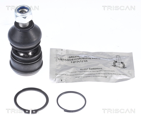 Triscan Fuseekogel 8500 42561