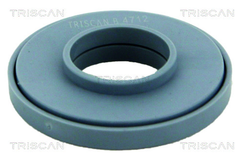 Triscan Veerpootlager & rubber 8500 50917