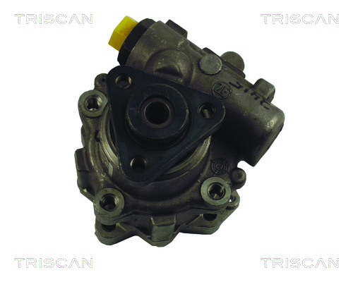 Triscan Servopomp 8515 29619