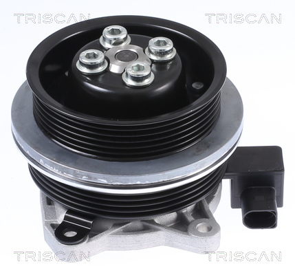 Triscan Waterpomp 8600 29062