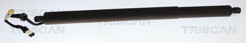 Triscan Gasveer, kofferruimte 8710 11385