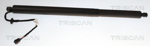 Triscan Gasveer, kofferruimte 8710 14303