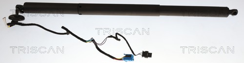 Triscan Gasveer, kofferruimte 8710 23317